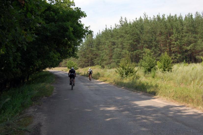 Нижнє з panoramio.com - Nyzhnye