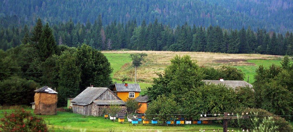 Абранка з panoramio.com - Абранка