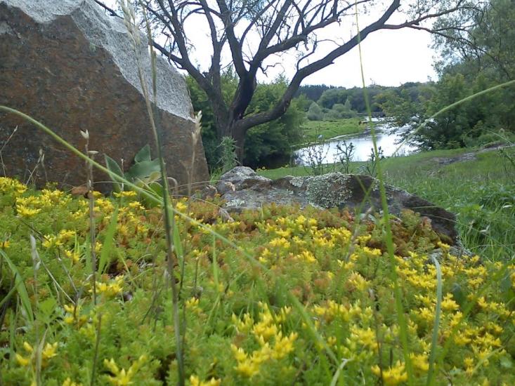 Городське з panoramio.com - Городское
