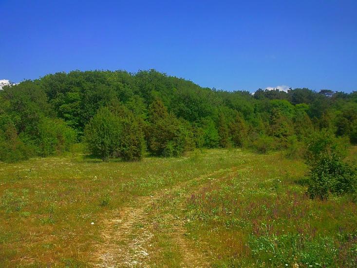 Багата Ущелина з panoramio.com - Bagata Uschelyna