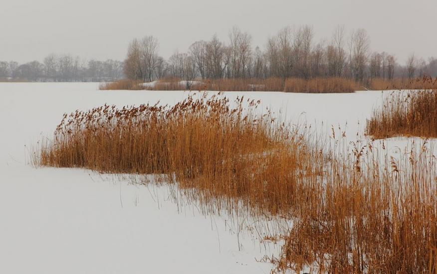Черемушне з panoramio.com - Cheremushne