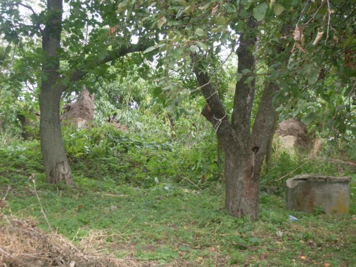 Кузьминці з panoramio.com - Кузьминцы