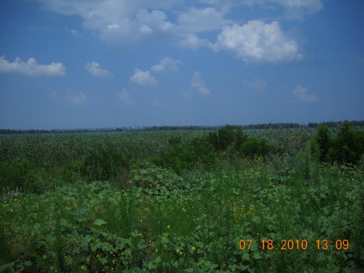 Солонці з panoramio.com - Солонцы