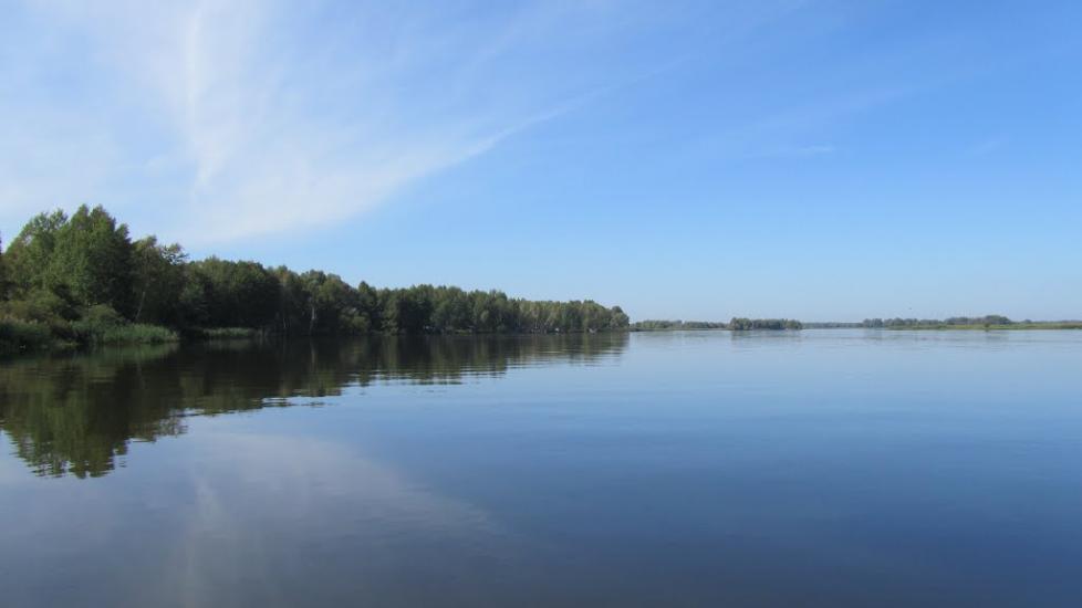 Сорокошичі з panoramio.com - Сорокошичи