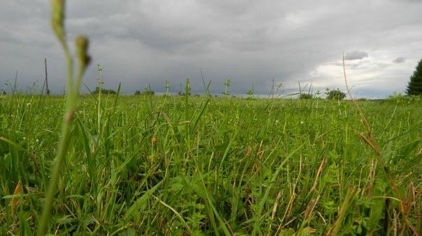 Копанки з panoramio.com - Копанки