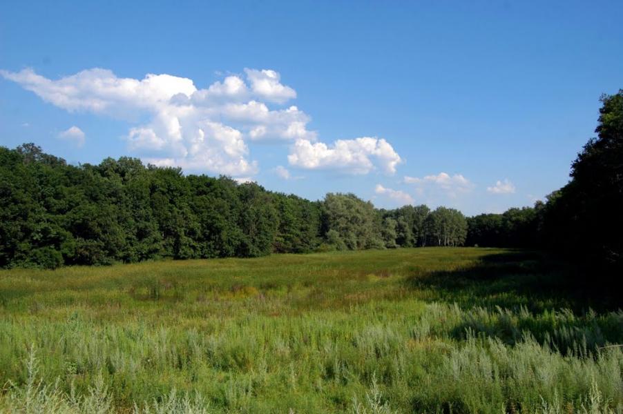 Сиротине з panoramio.com - Сиротино