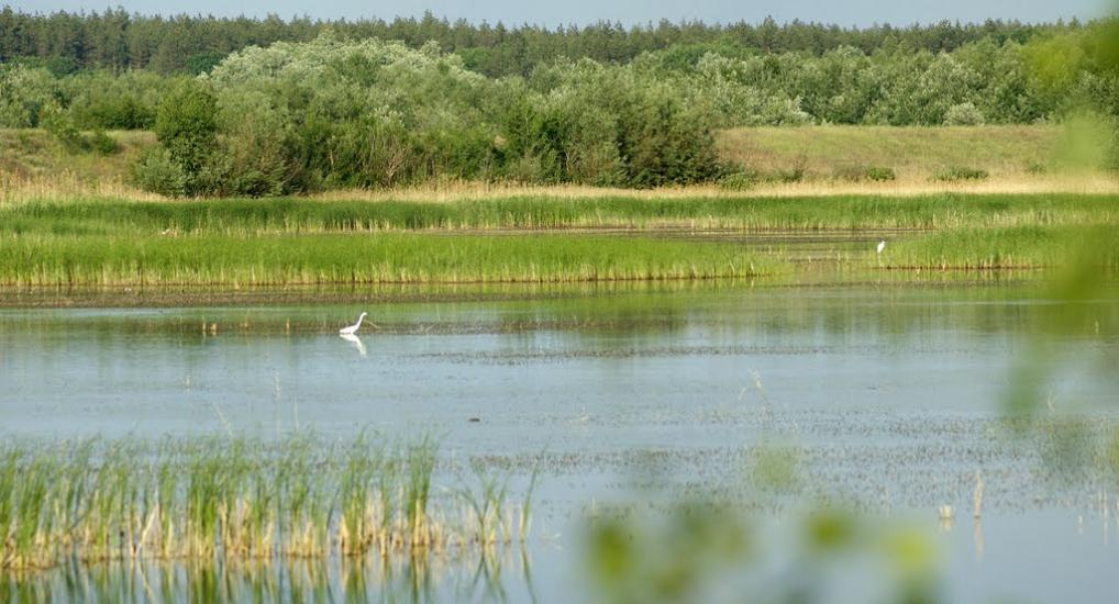 Вільхове з panoramio.com - Vilkhove
