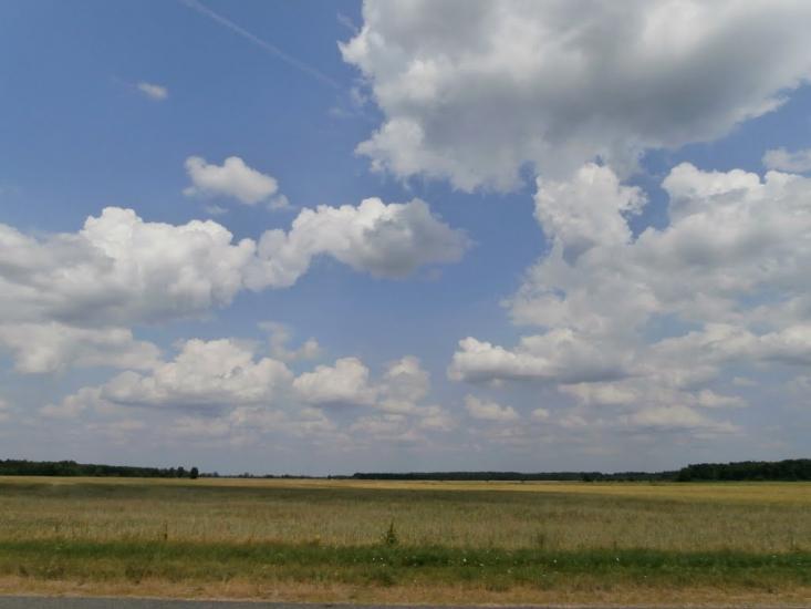 Ниговищі з panoramio.com - Ниговищі
