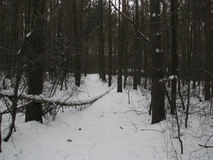 Стоянка з panoramio.com - Стоянка