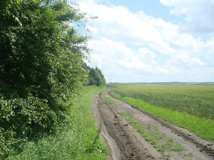 Грузевиця з panoramio.com - Грузевиця