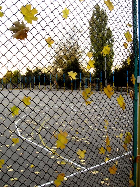 Горностаївка з panoramio.com - Горностаевка