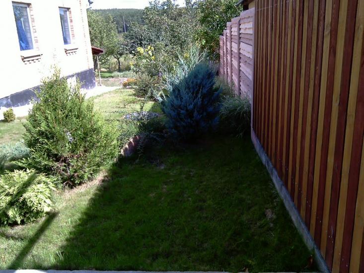 Данилівка з panoramio.com - Даниловка