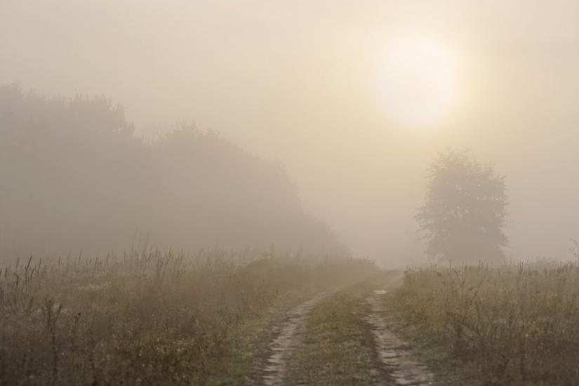 Мала Стариця з panoramio.com - Мала Стариця