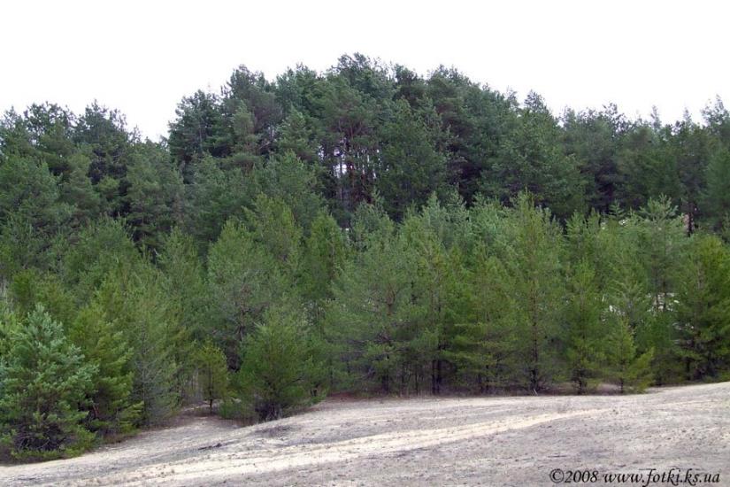 Великі Копані з panoramio.com - Великие Копани