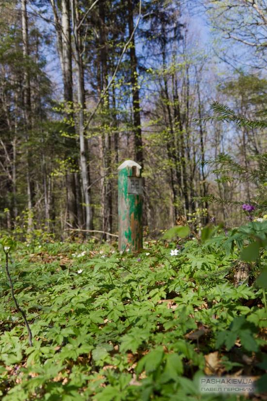 Букове з panoramio.com - Букове
