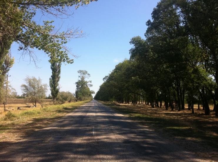 Дрофине з panoramio.com - Дрофине