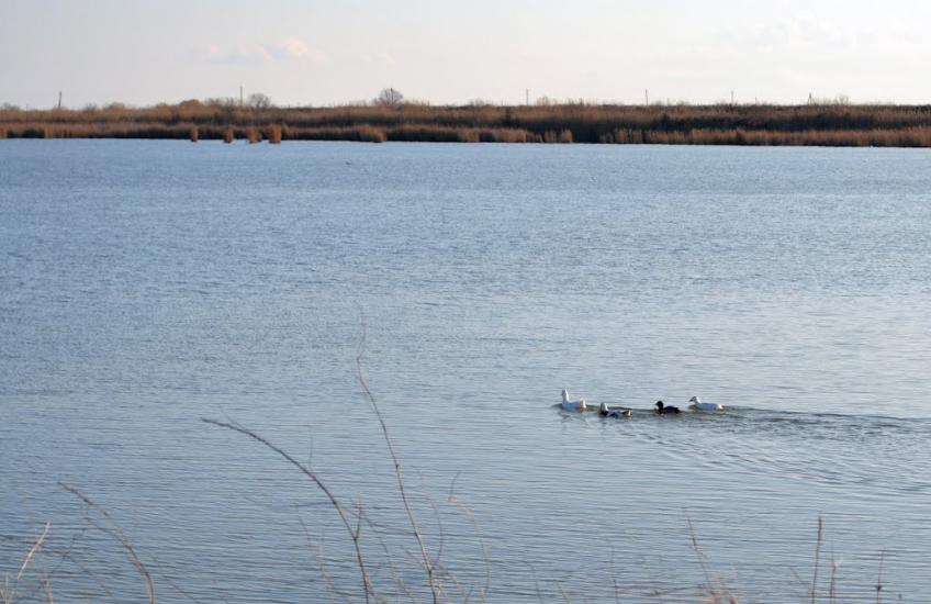 Дарівка з panoramio.com - Даровка