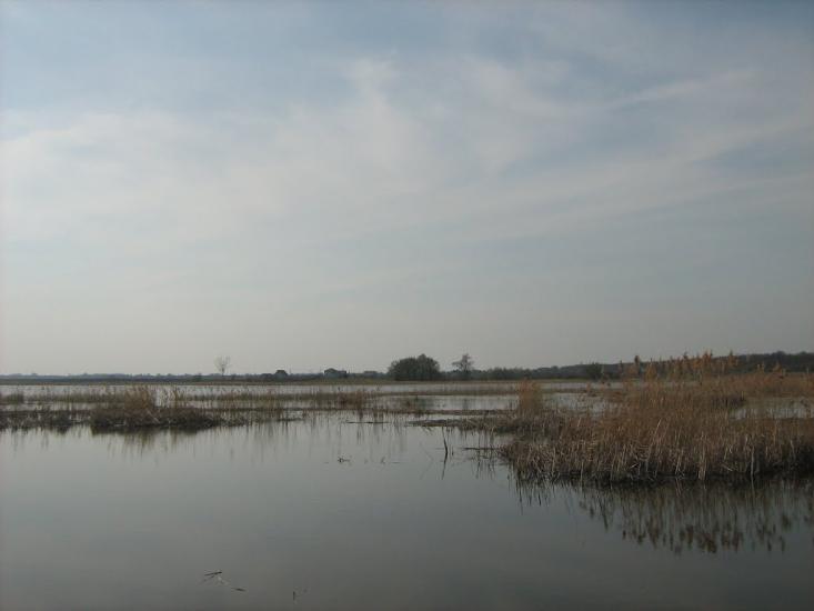 Парипси з panoramio.com - Parypsy