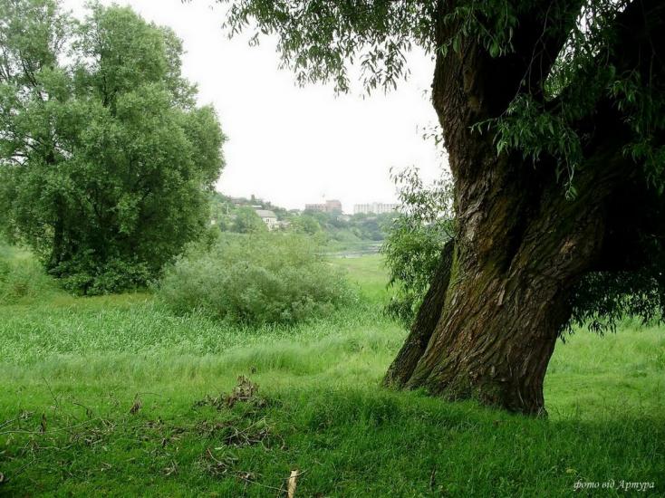 Федорівка з panoramio.com - Федоровка