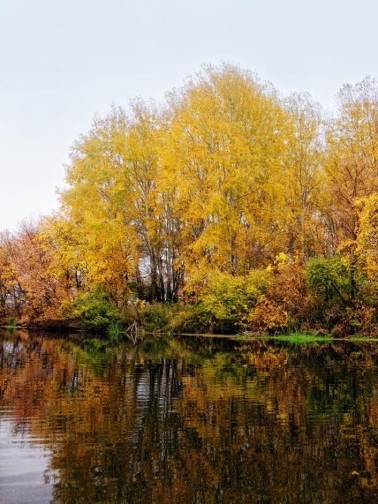 Шелудьківка з panoramio.com - Sheludkivka