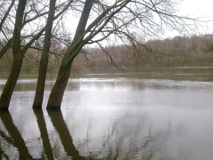 Камінь з panoramio.com - Камінь