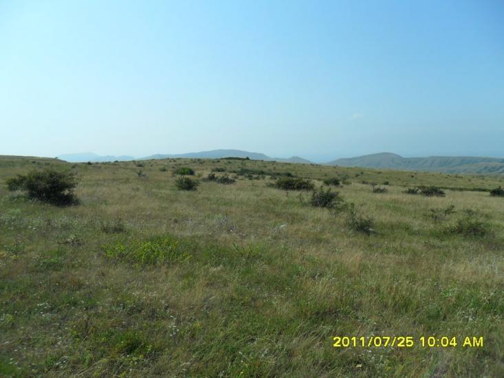 Підгірне з panoramio.com - Підгірне