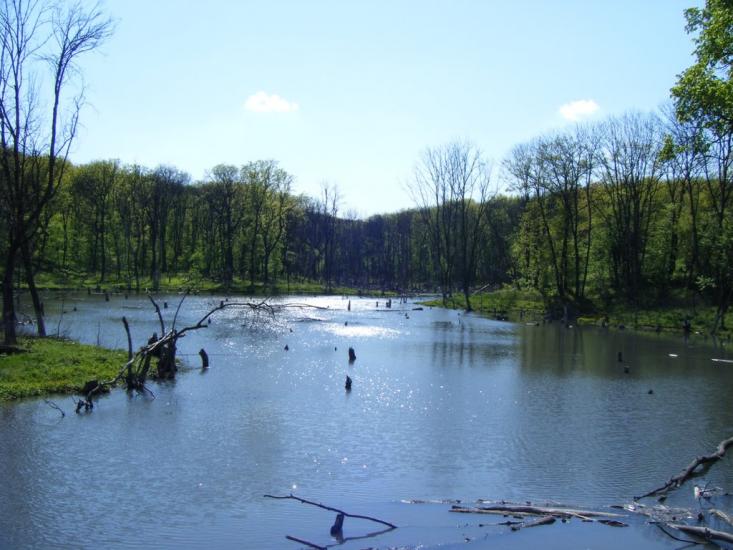Сєверне з panoramio.com - Syeverne