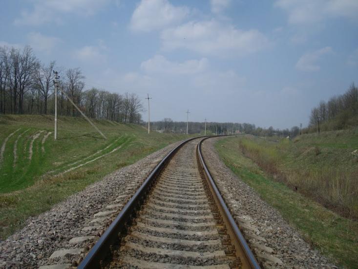 Лісова Волиця з panoramio.com - Лесовая Волица