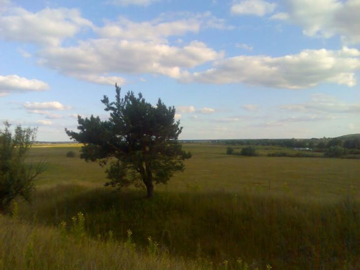 Остроушки з panoramio.com - Остроушки
