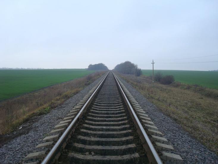 Воронківці з panoramio.com - Воронковцы