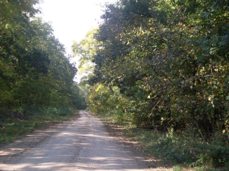 Ярмолинці з panoramio.com - Ярмолинці