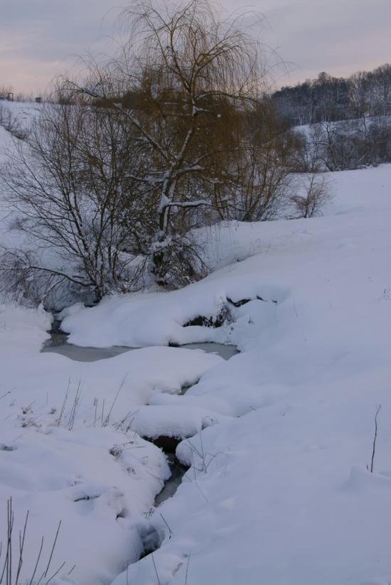 Крюківщина з panoramio.com - Kryukivschyna