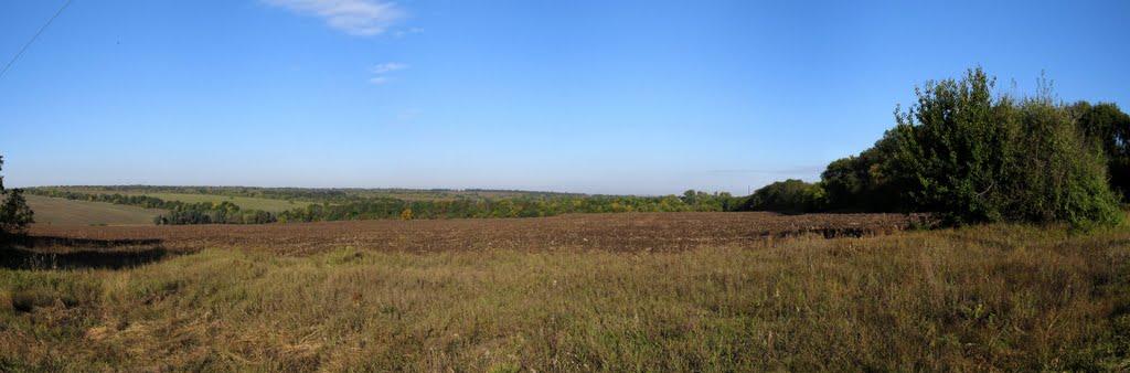 Донецьке з panoramio.com - Donetske