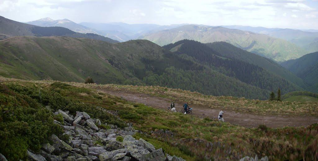 Усть-Чорна з panoramio.com - Усть-Чорна