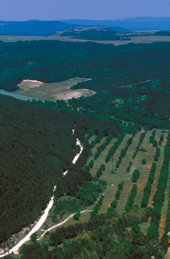 Прохладне з panoramio.com - Прохладное