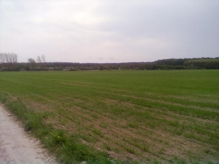 Головлі з panoramio.com - Головли