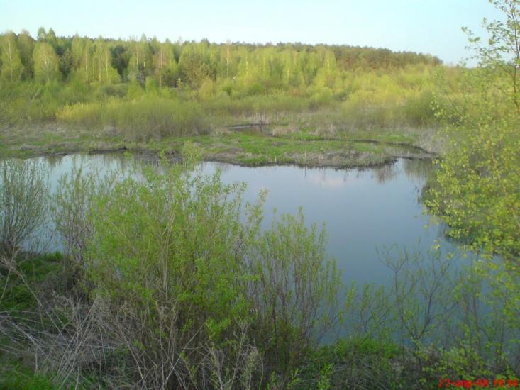 Марчихина Буда з panoramio.com - Marchykhyna Buda