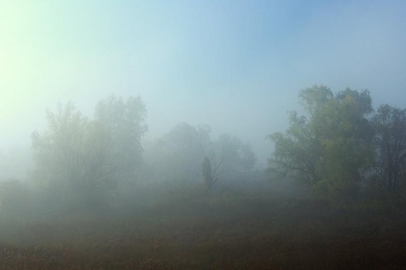 Мала Стариця з panoramio.com - Мала Стариця
