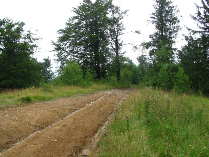 Труханів з panoramio.com - Труханів