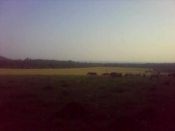 Іванківці з panoramio.com - Иванковцы