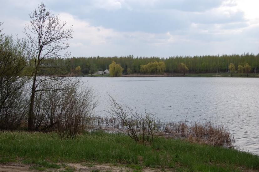 Аркадівка з panoramio.com - Arkadivka