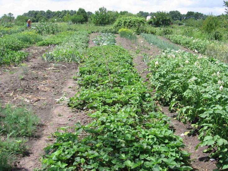 Хроли з panoramio.com - Хроли