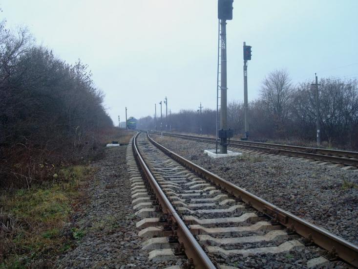 Воронківці з panoramio.com - Воронковцы