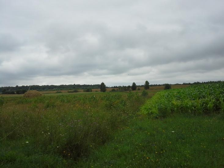 Вирка з panoramio.com - Вырка