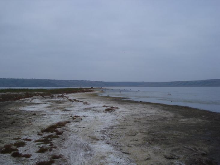 Калинівка з panoramio.com - Калиновка
