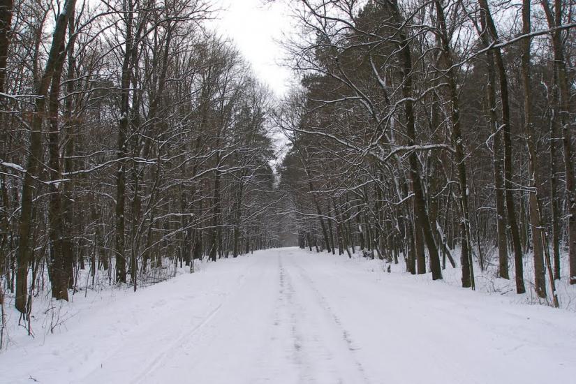 Велика Чернеччина з panoramio.com - Велика Чернеччина