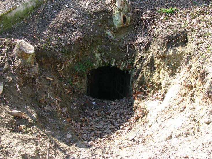 Яворів з panoramio.com - Яворов