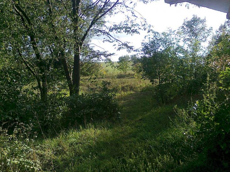 Люлинці з panoramio.com - Люлинцы