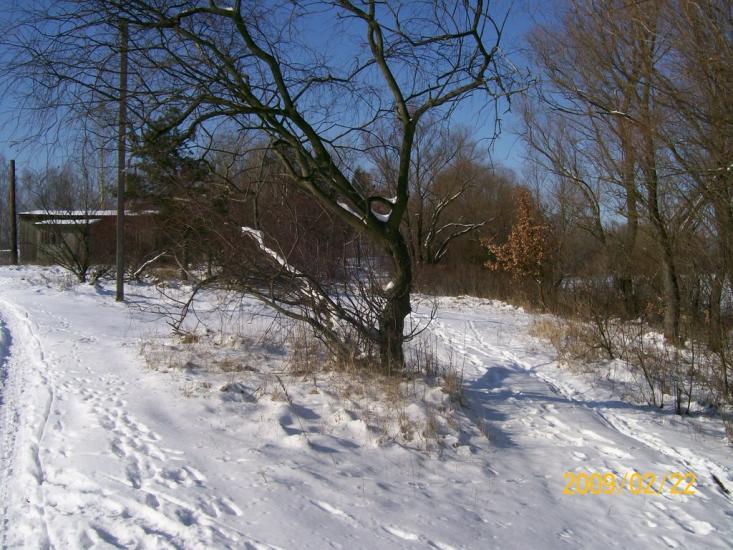 Вища Дубечня з panoramio.com - Высшая Дубечня