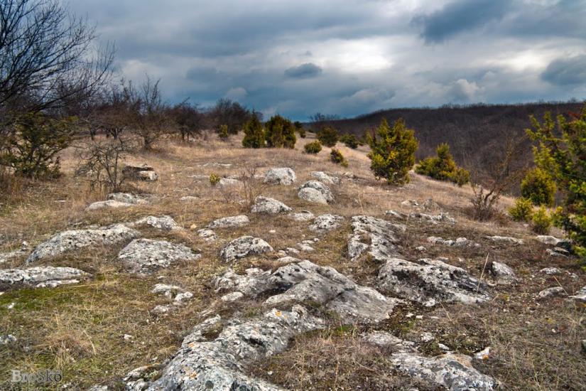 Білокам'яне з panoramio.com - Bilokamyane
